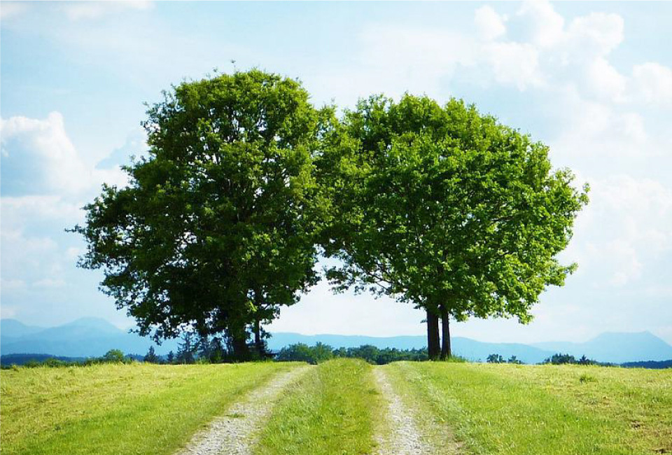 壹度官网-3关于我们-10可持续发展-英文版