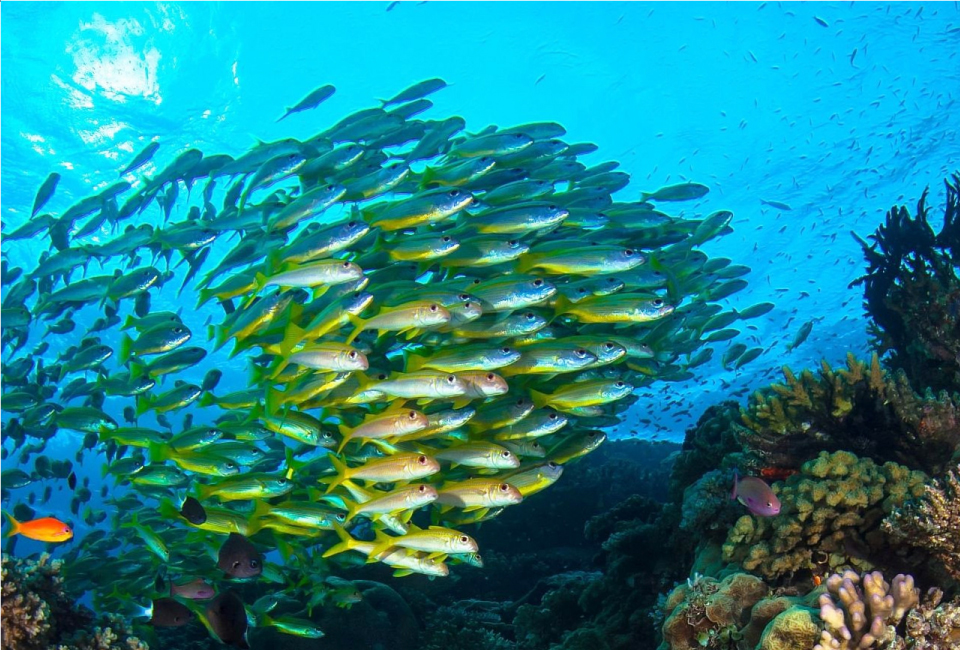 壹度官网-3关于我们-10可持续发展-英文版