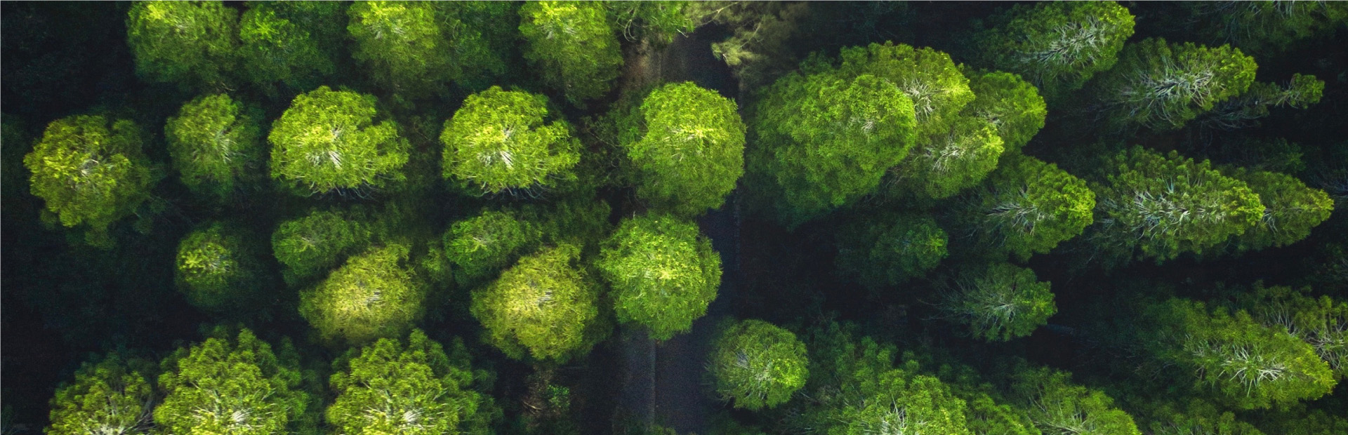 壹度官网-3关于我们-10可持续发展-英文版